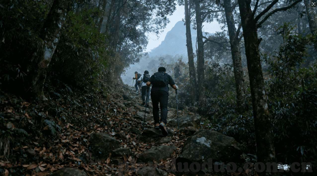 九游网页版入口-九游网页版入口，畅游虚拟世界的便捷门户